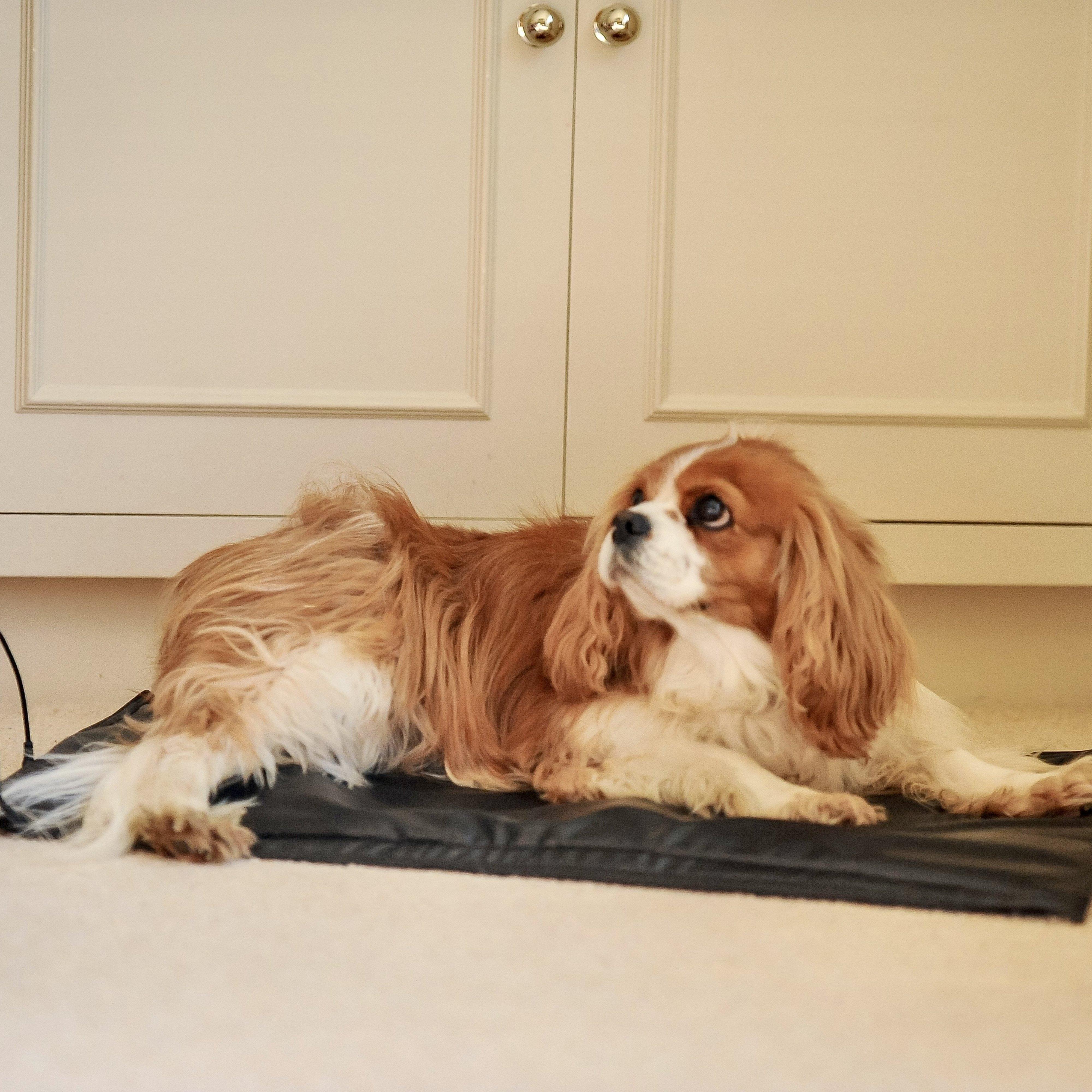 Heat Pad Plus