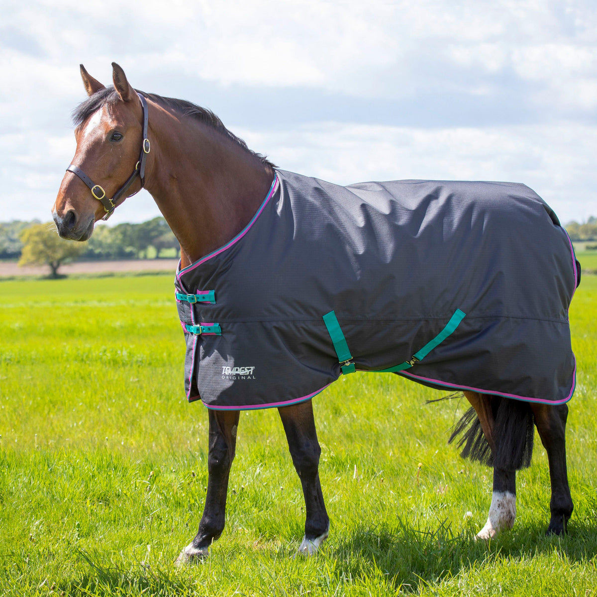 Tempest Original 300g Standard Neck Turnout Rug Black