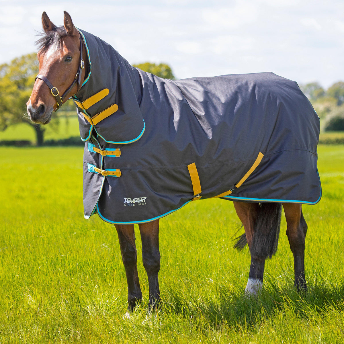 Tempest Original 300g Combo Neck Turnout Rug Black