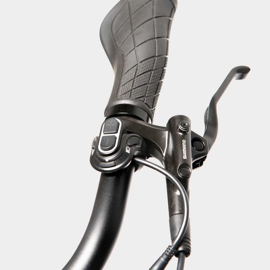 Porter Cargo E-Bike