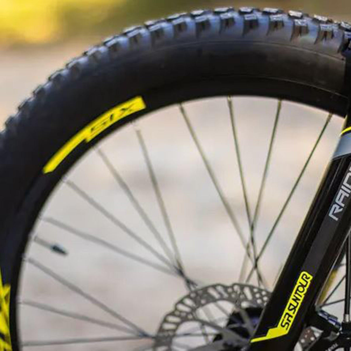 Siskiu D24 Kids’ Bike