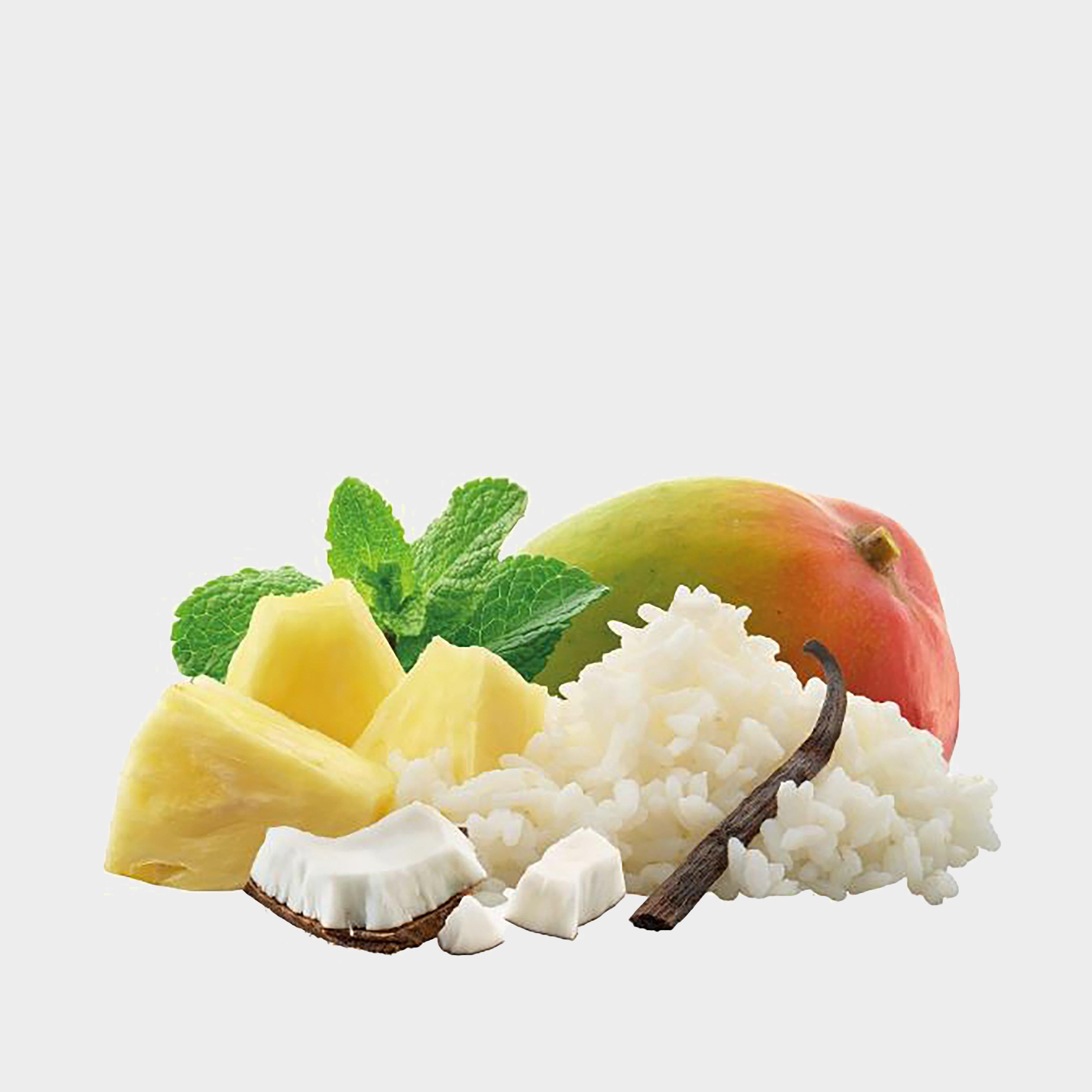 Tropical Rice Dessert 300