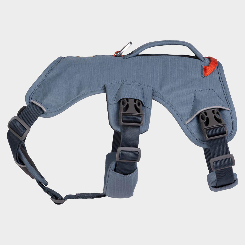 Webmaster™ Harness