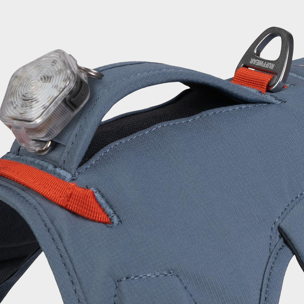 Webmaster™ Harness