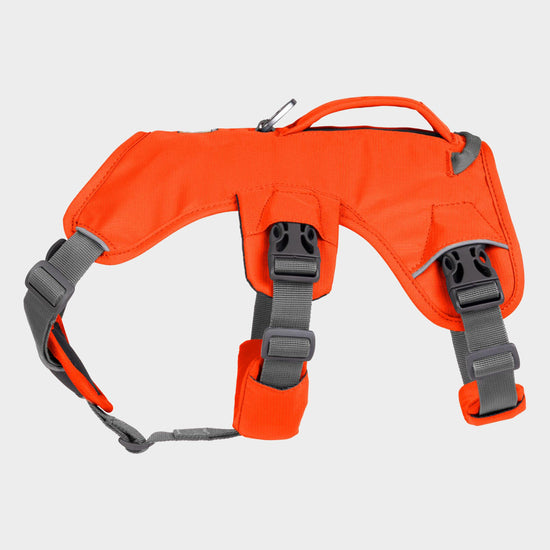 Web Master Dog Harness With Handle Blaze Orange