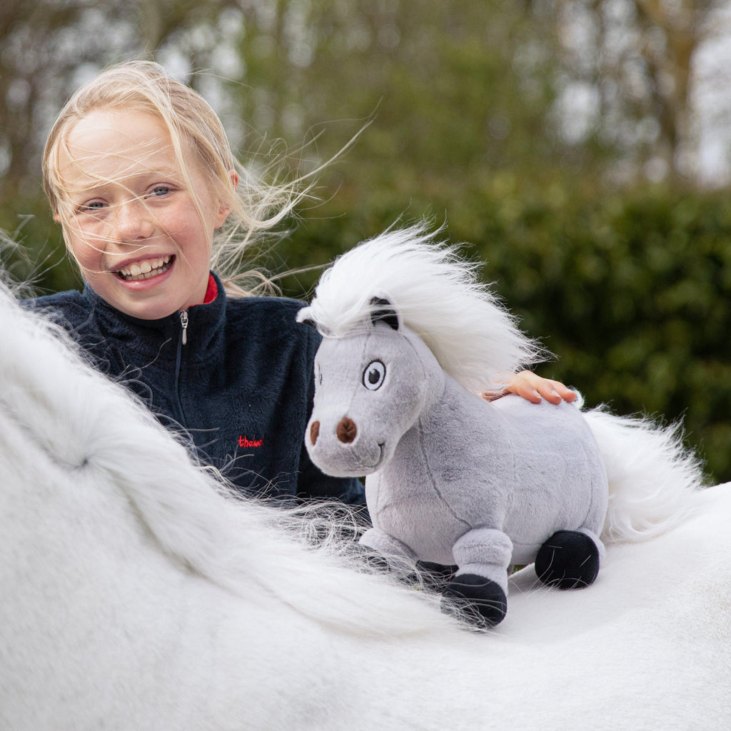 Thelwell Ponies – Tarquin the Pony