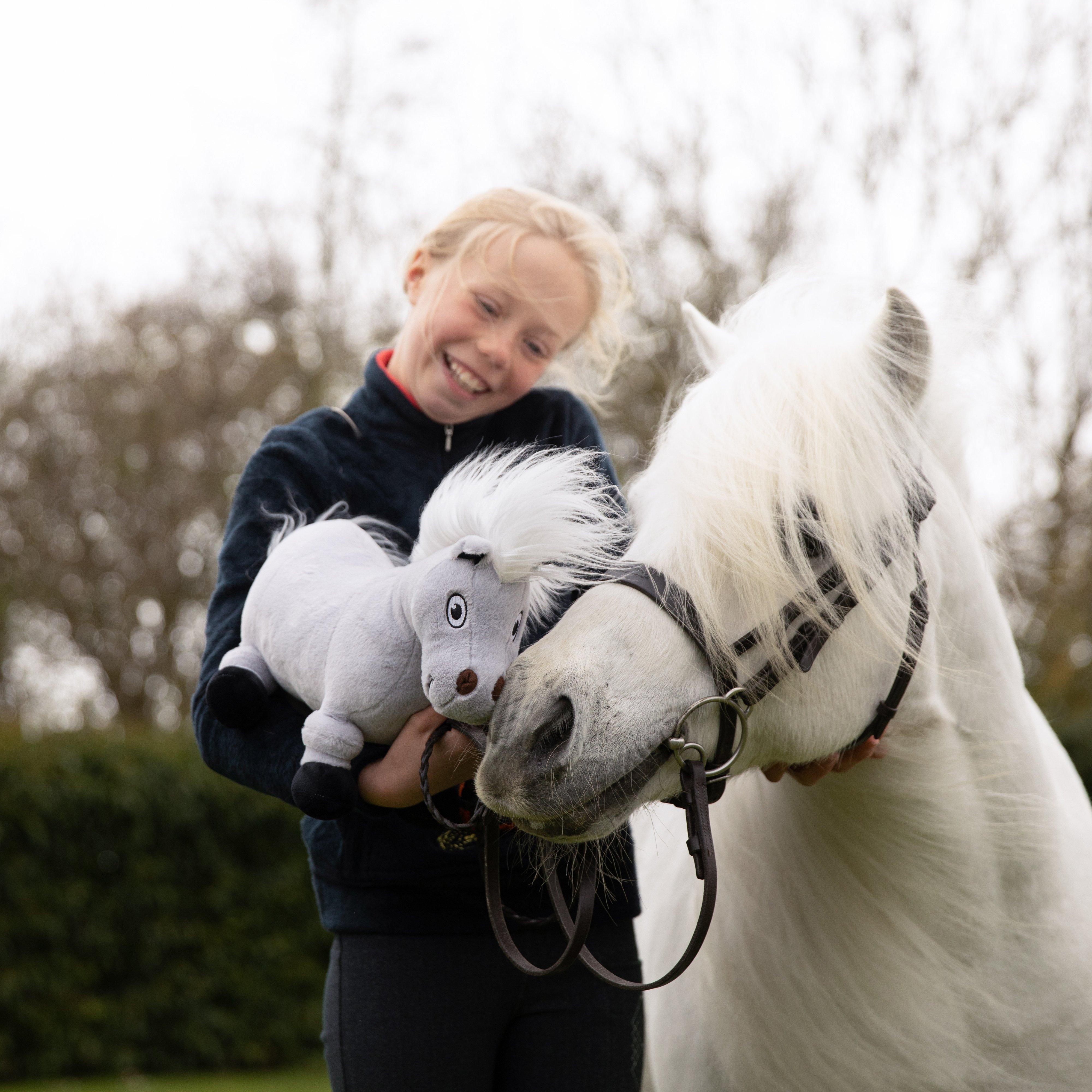 Thelwell Ponies – Tarquin the Pony