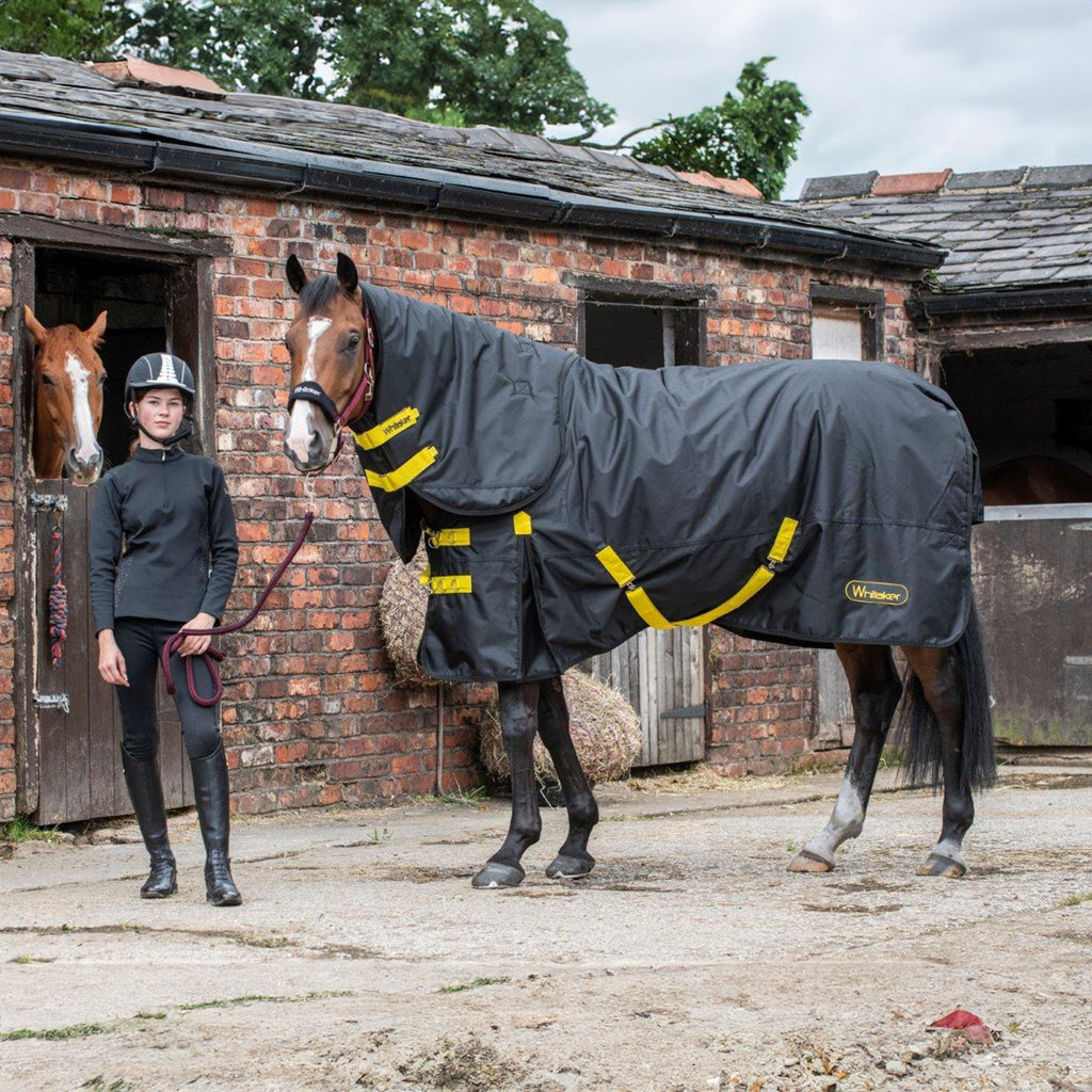 Ludworth 200g Combo Turnout Rug