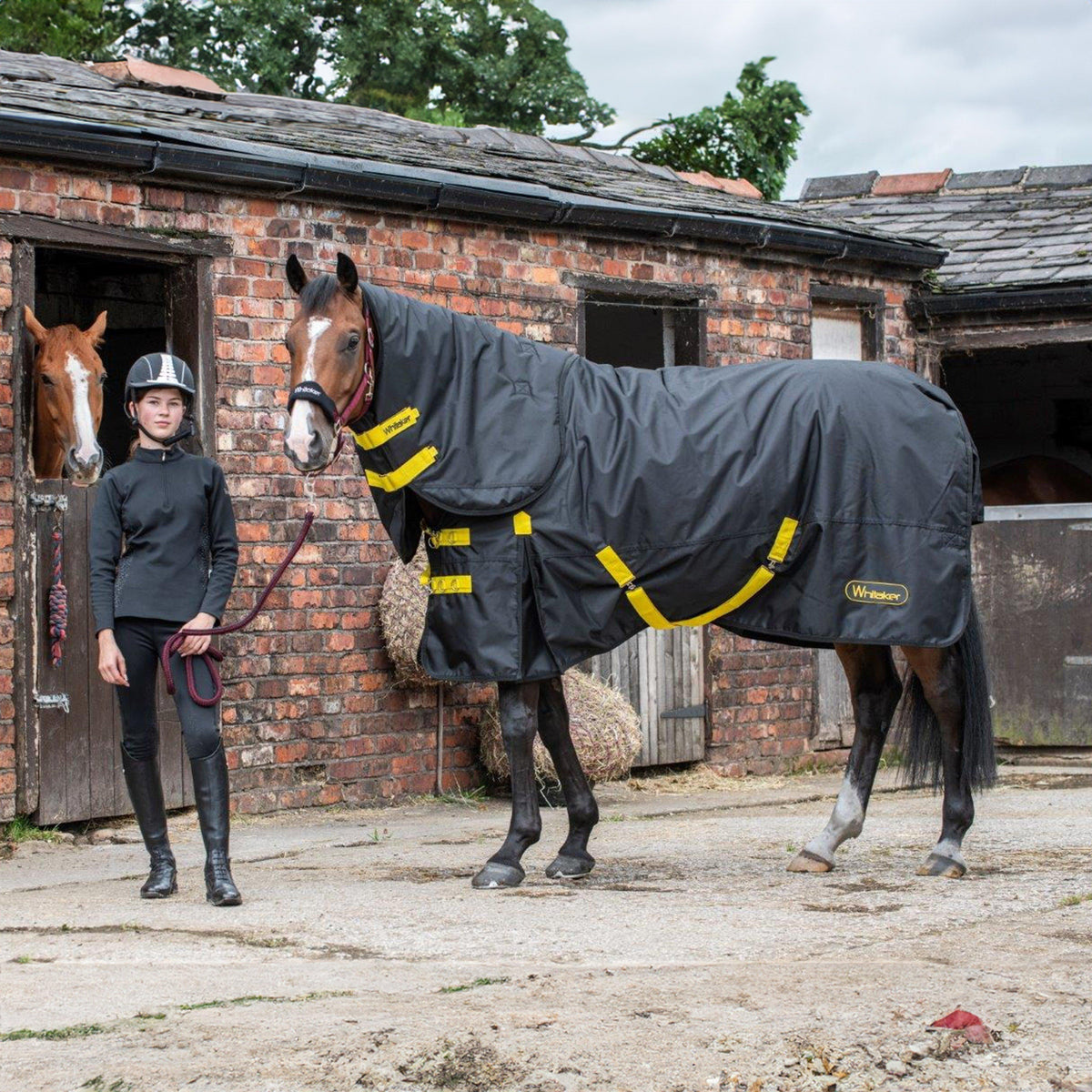 Ludworth 200g Combo Turnout Rug