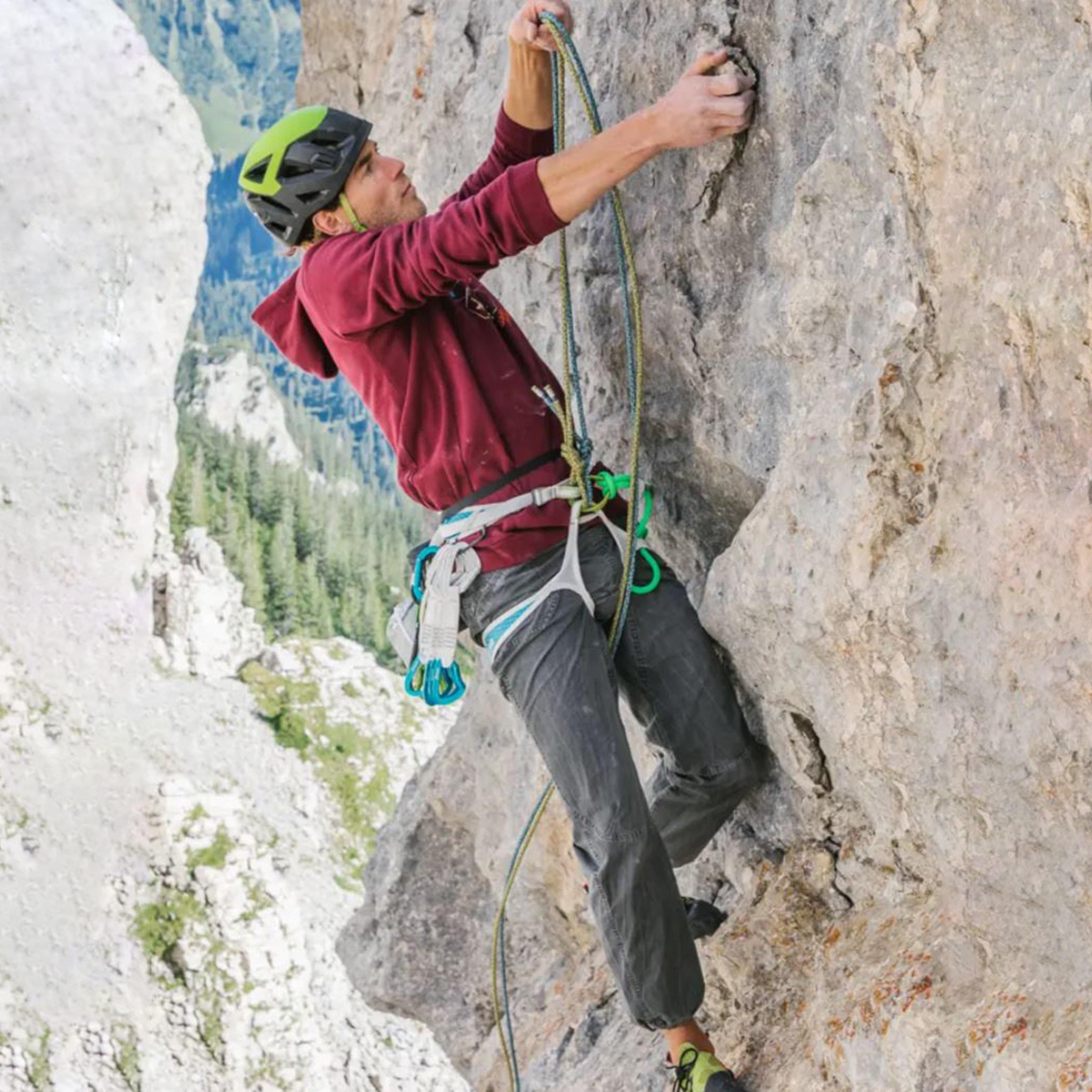 Prisma Climbing Harness