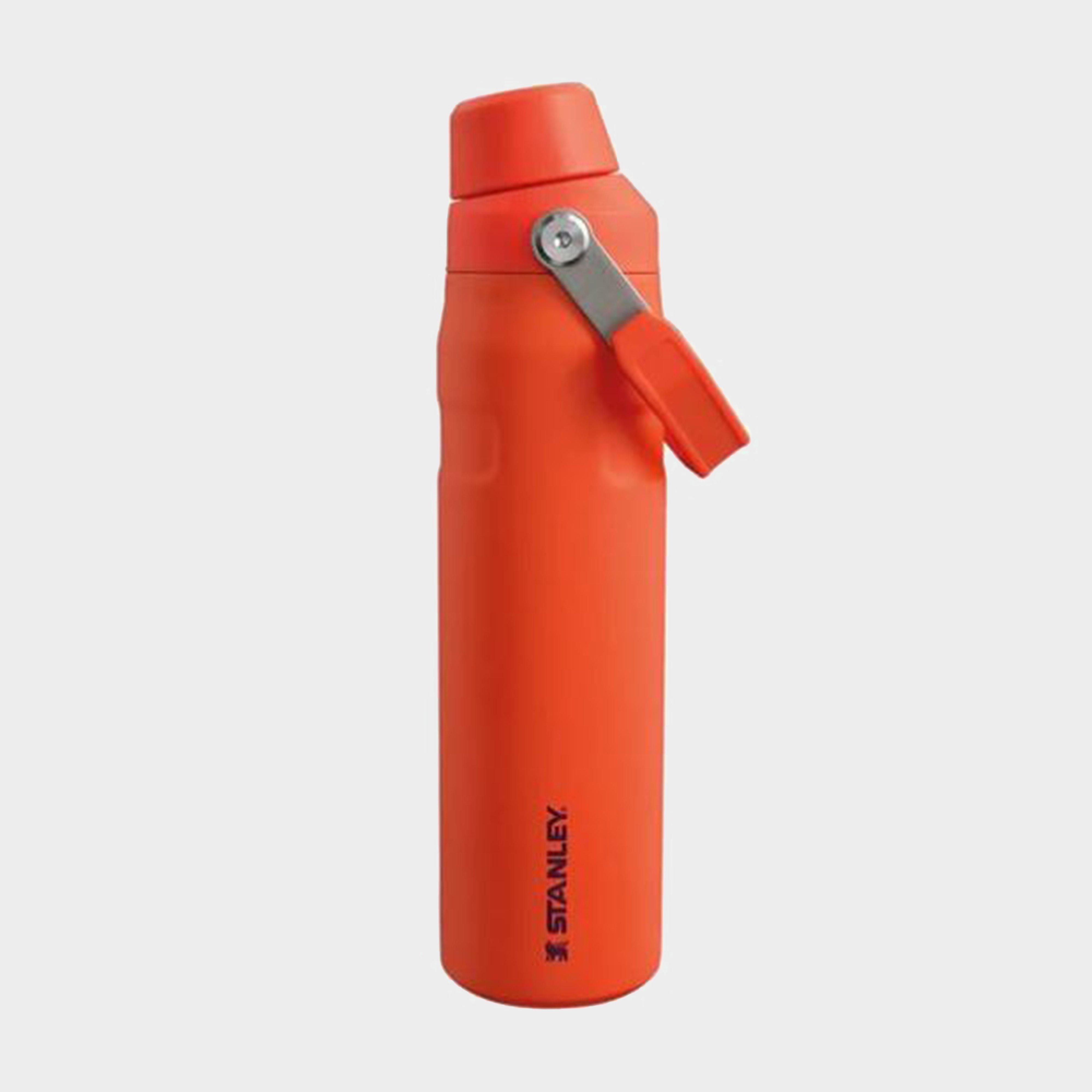 Iceflow™ Fast Flow Bottle - 0.6L