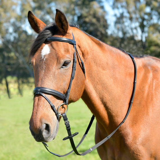 Classic Plain Raised Flash Bridle