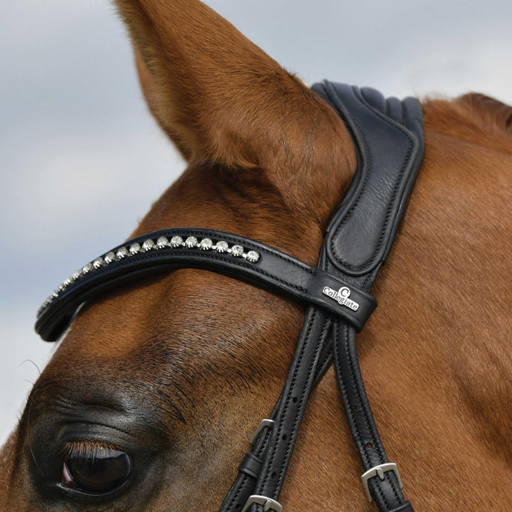 Soft Padded Leather Reins