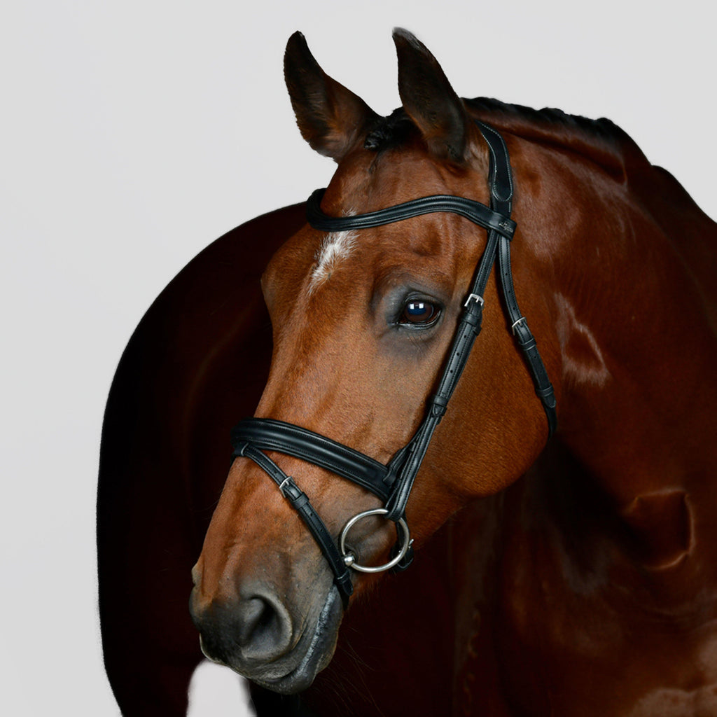 ComFiTec Opulux Plain Padded Hanoverian Flash Bridle