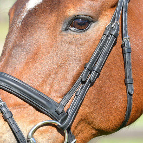 ComFiTec Opulux Plain Padded Hanoverian Flash Bridle