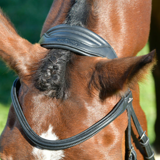 ComFiTec Opulux Plain Padded Hanoverian Flash Bridle