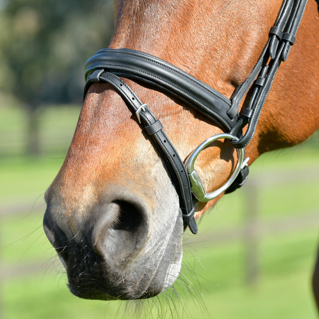 ComFiTec Opulux Plain Padded Hanoverian Flash Bridle