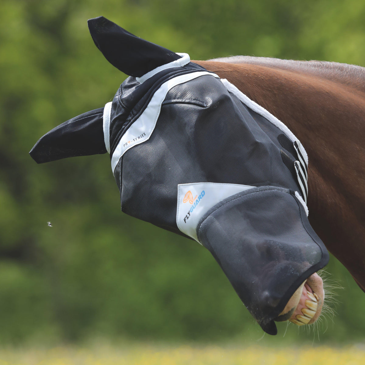PVC Mesh Fly Veil with Ears and Nose