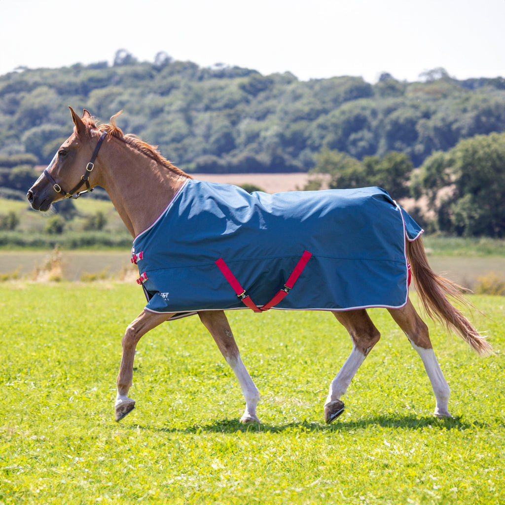 Original Lite Standard Turnout Rug