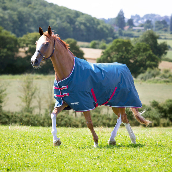 Original Lite Standard Turnout Rug