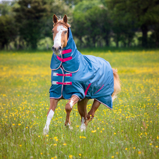 Tempest Original Lite Combo Turnout Rug