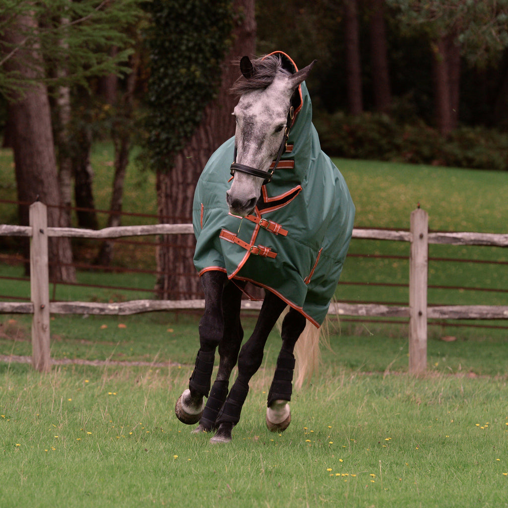 ComFiTec Tyro Combo Neck Lite Plus Rug