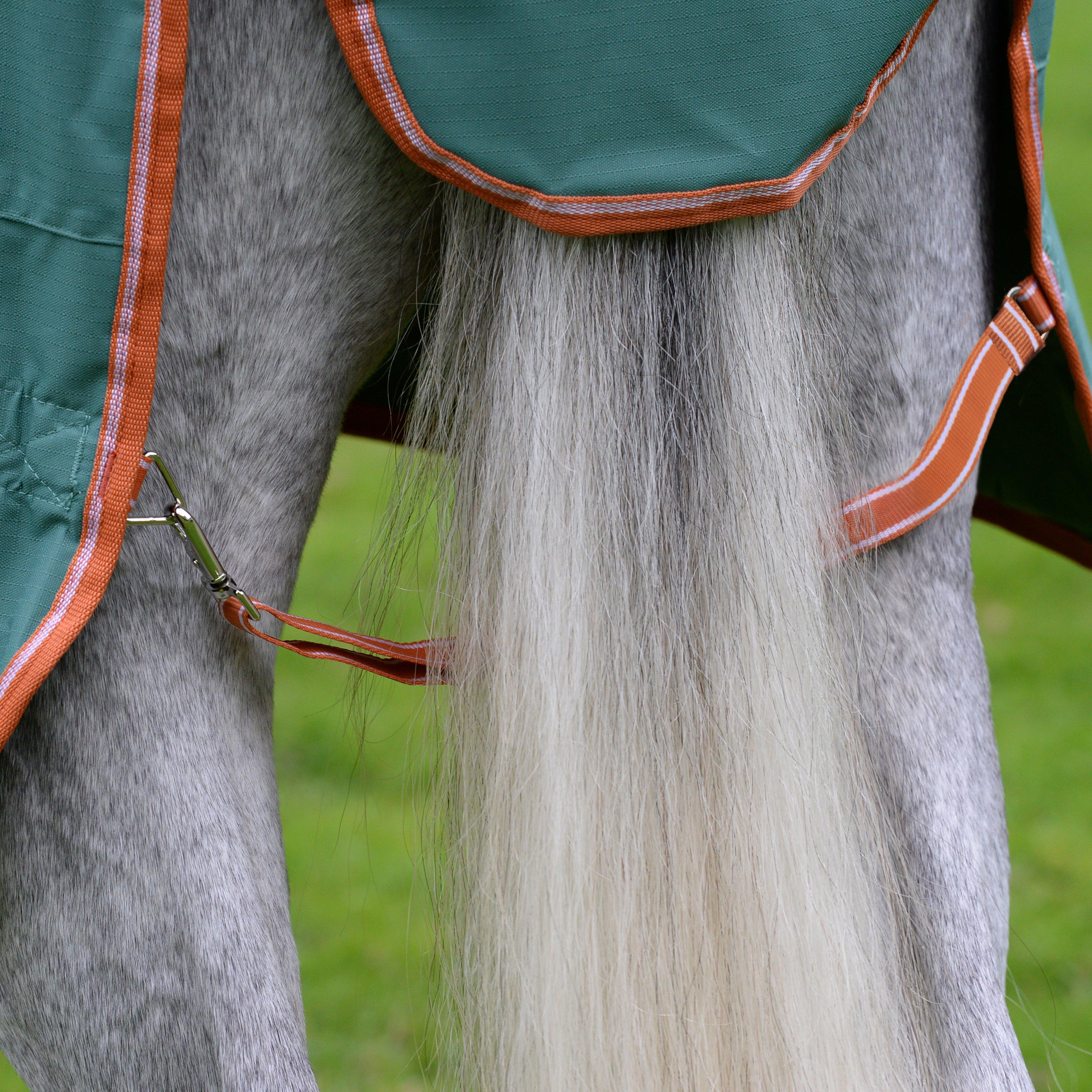 ComFiTec Tyro Combo Neck Lite Plus Rug