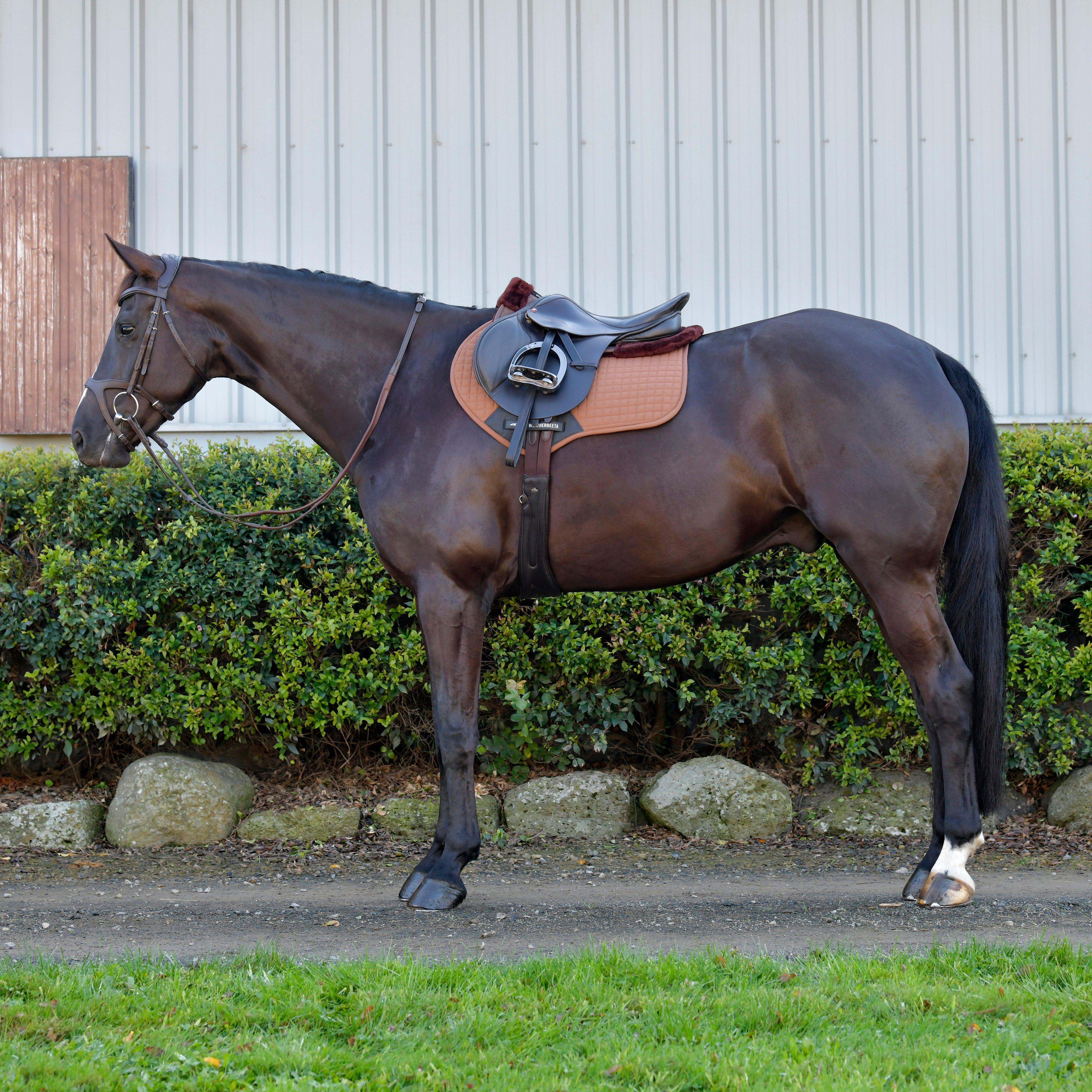 Comfy Fleece Jump Shaped Saddle Pad