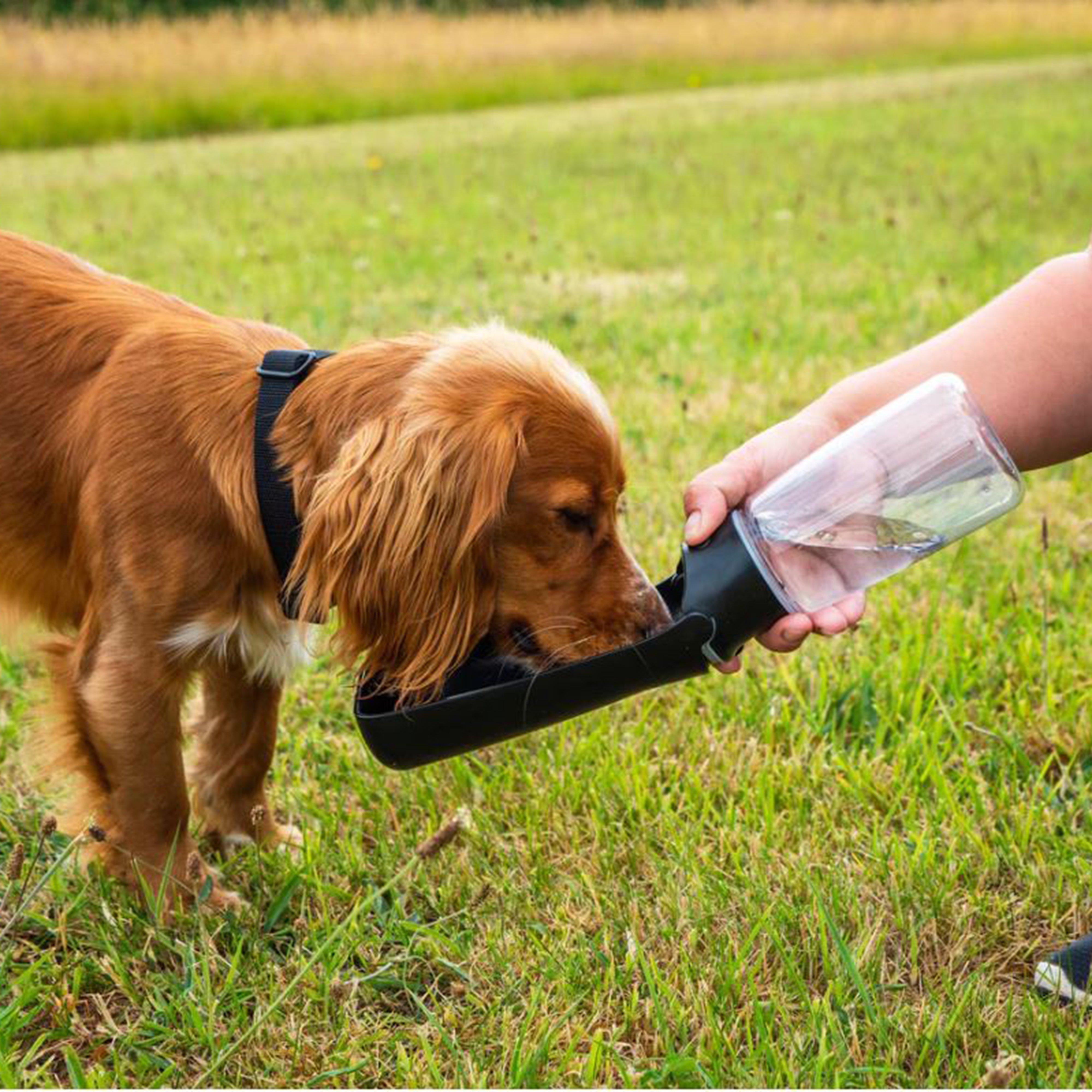 Folding Dog Water Bottle