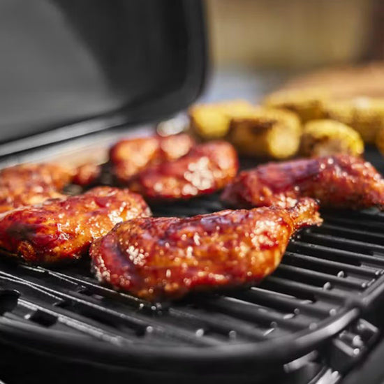 Traveler® Compact Gas Barbecue