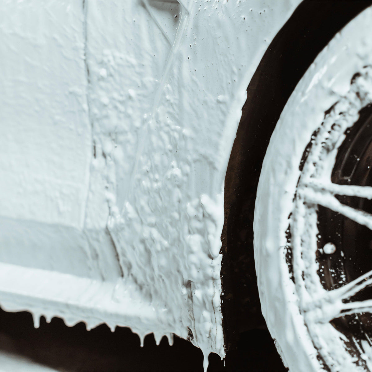 Polar Blast 2.5L