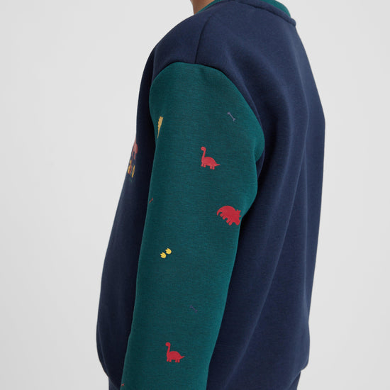 Kids' Dino Sweatshirt