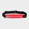 NightViz Belt