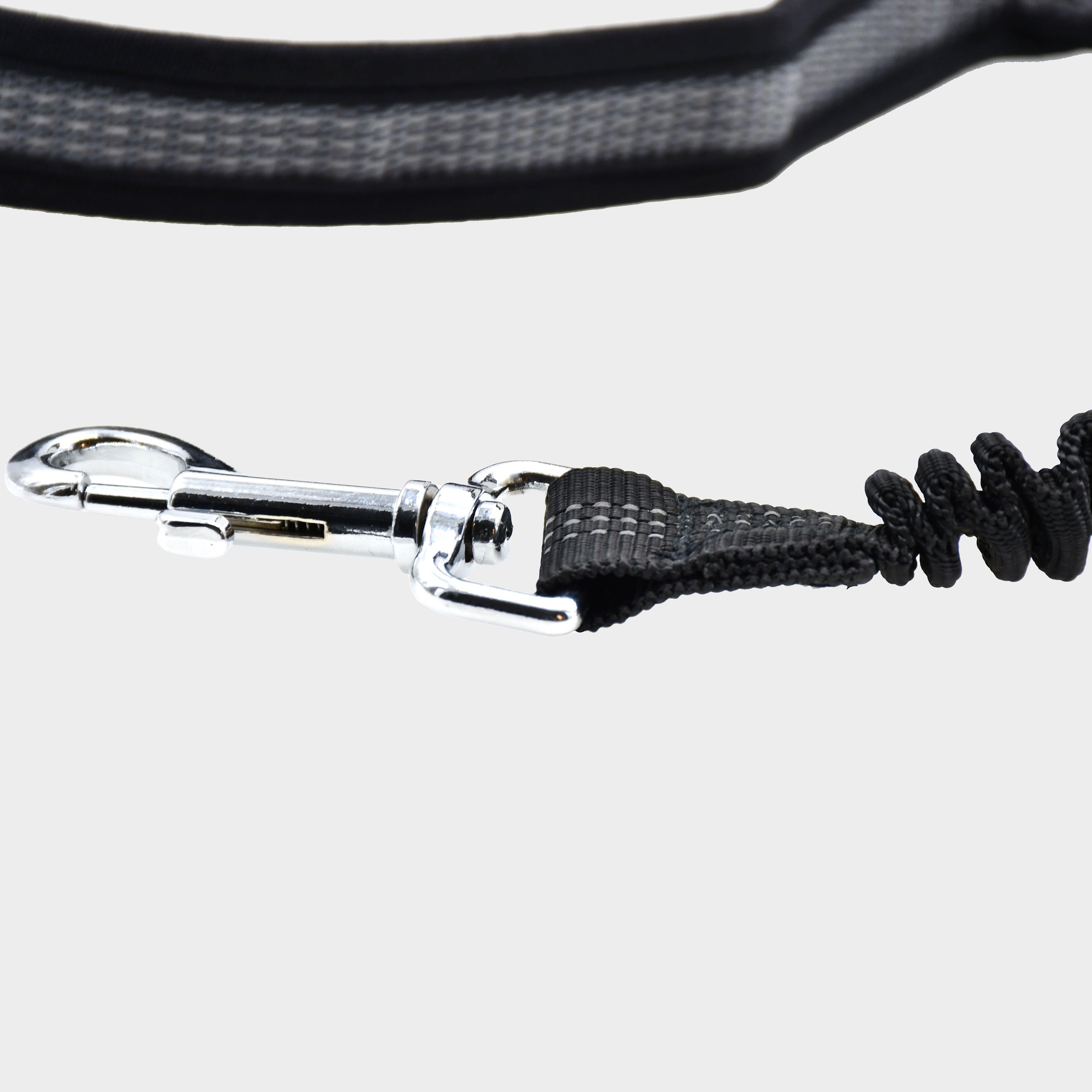 LED Dog Lead Run Belt