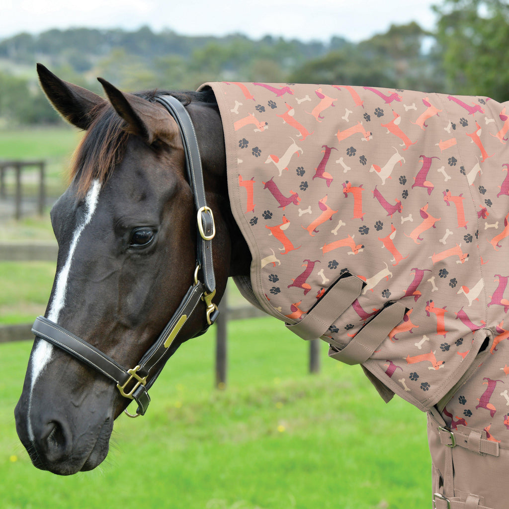 ComFiTec Essential Combo Neck Medium
