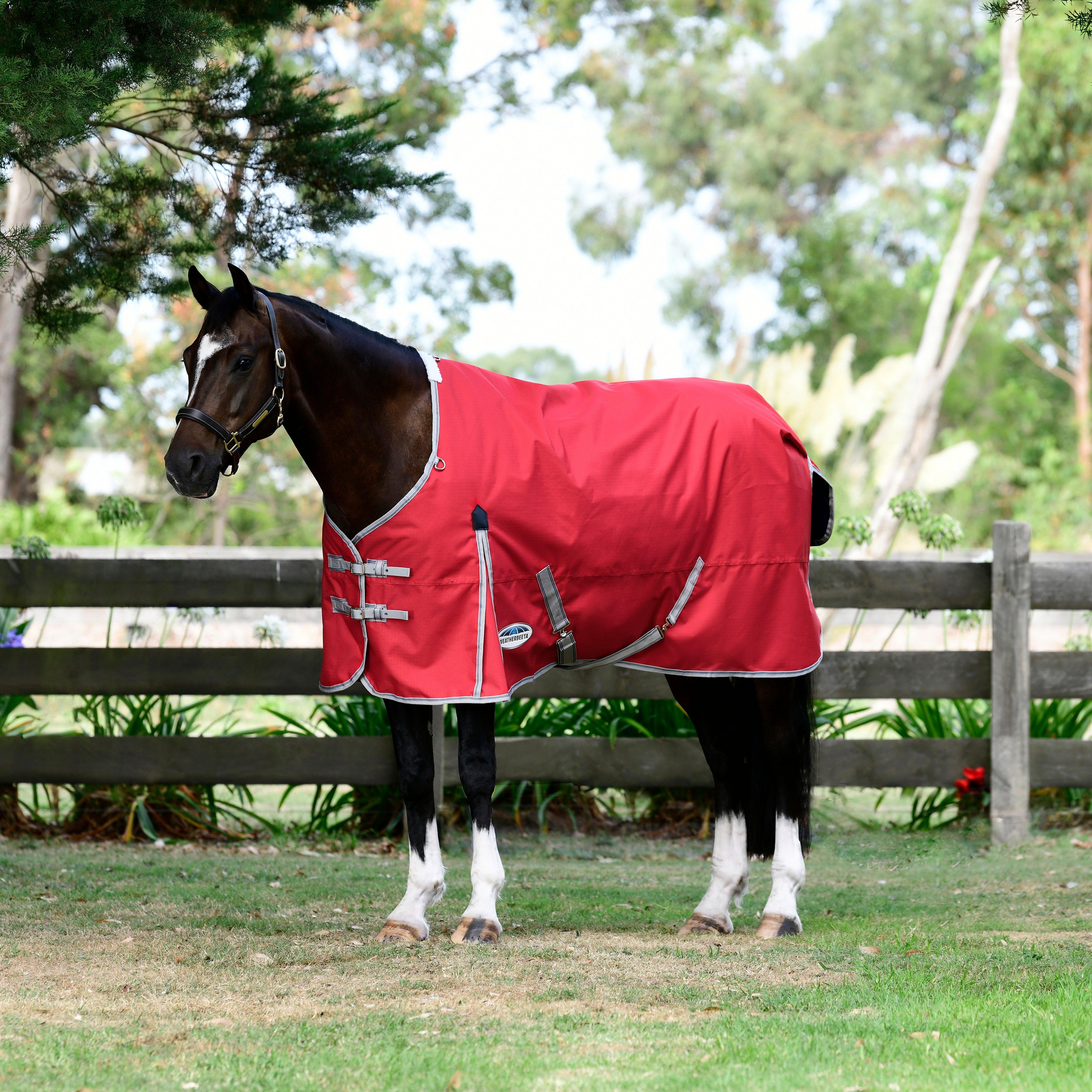 ComFiTec Classic Standard Neck Lite Plus