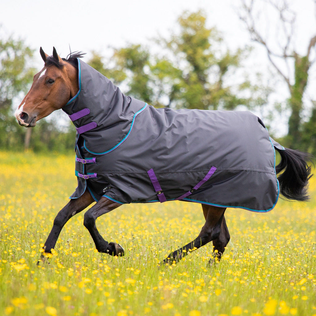 Tempest Original 300g Detach-A-Neck Turnout Rug