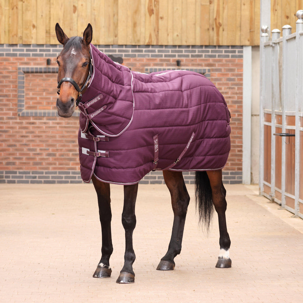Tempest Original 300 Stable Rug