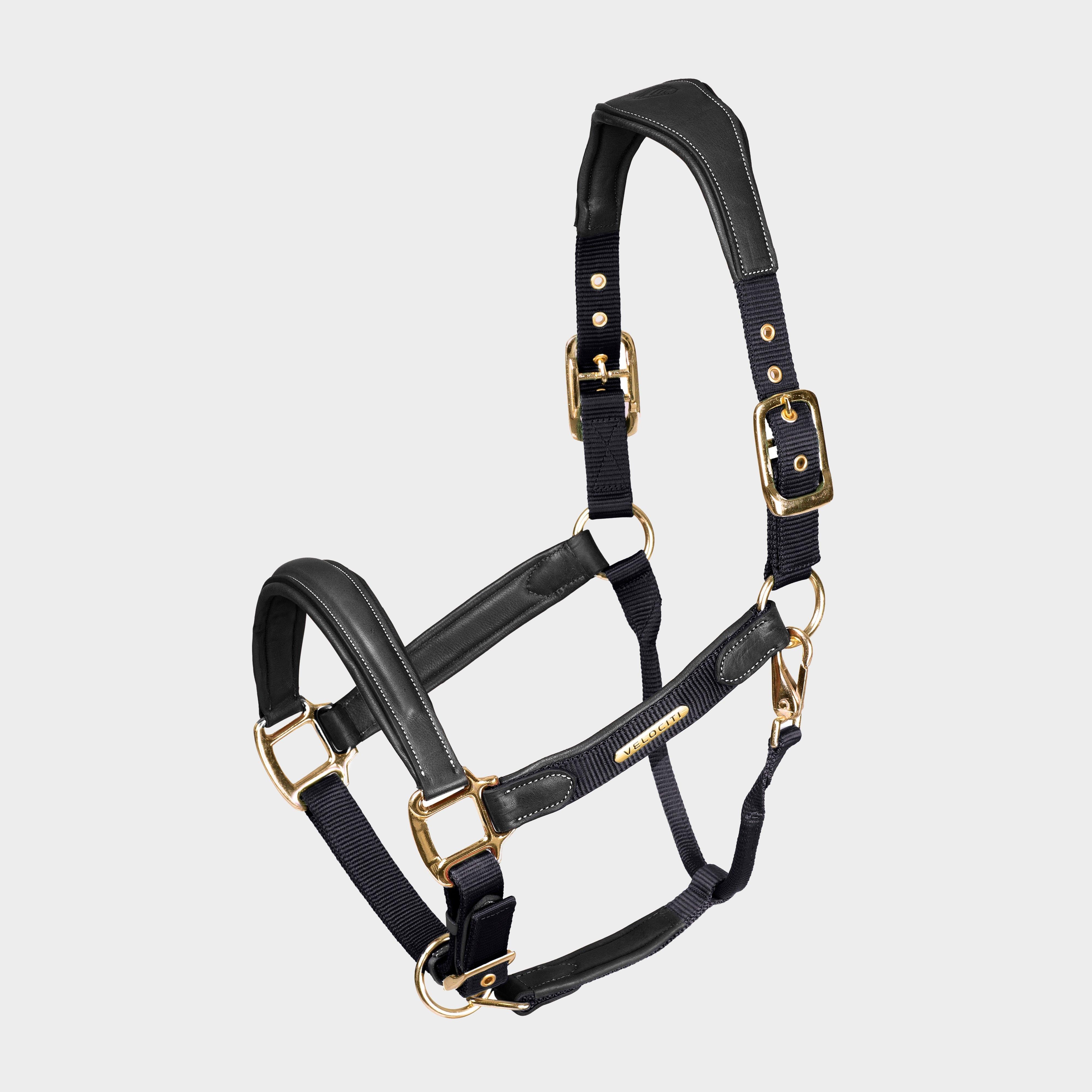 Velociti Lusso Padded Leather Headcollar