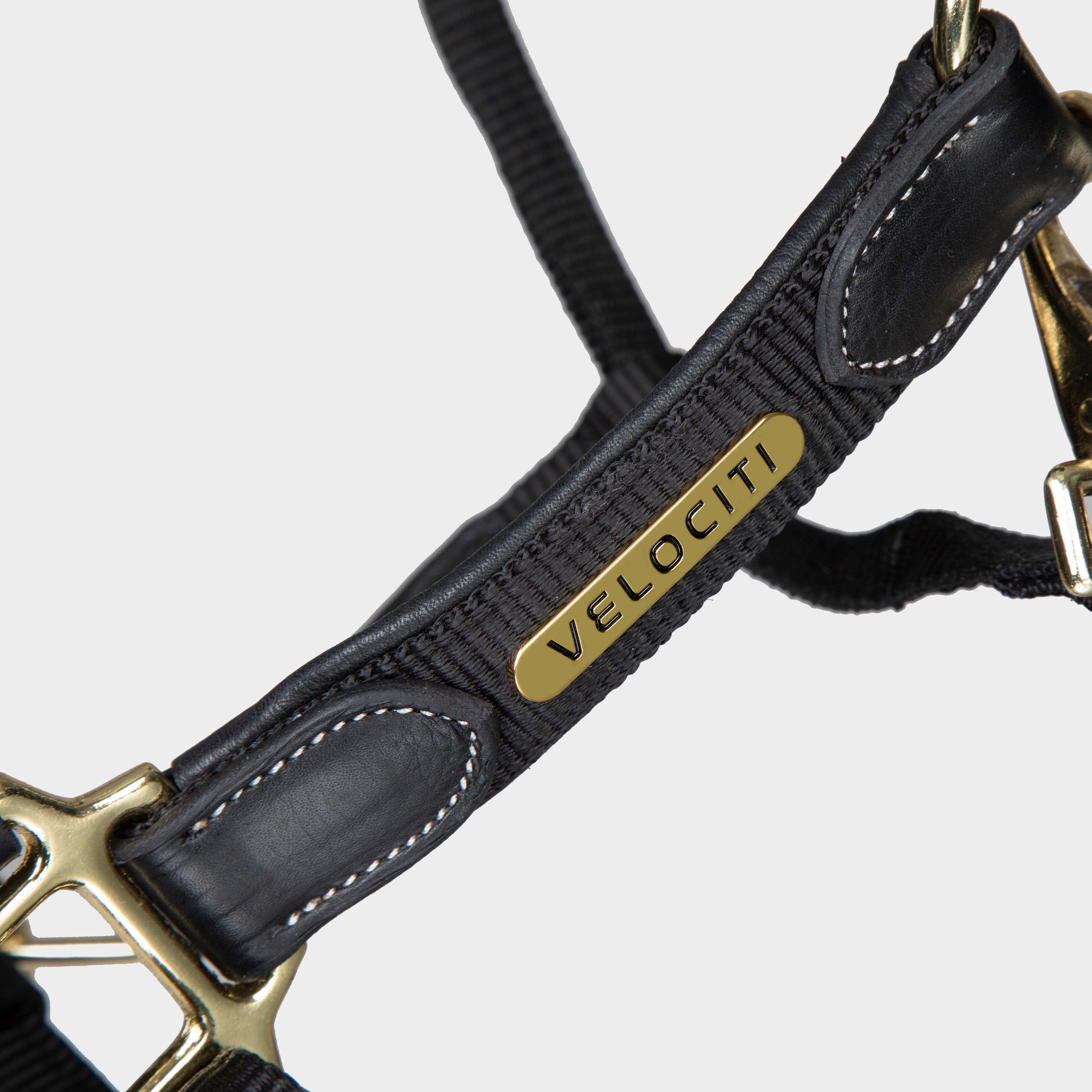 Velociti Lusso Padded Leather Headcollar