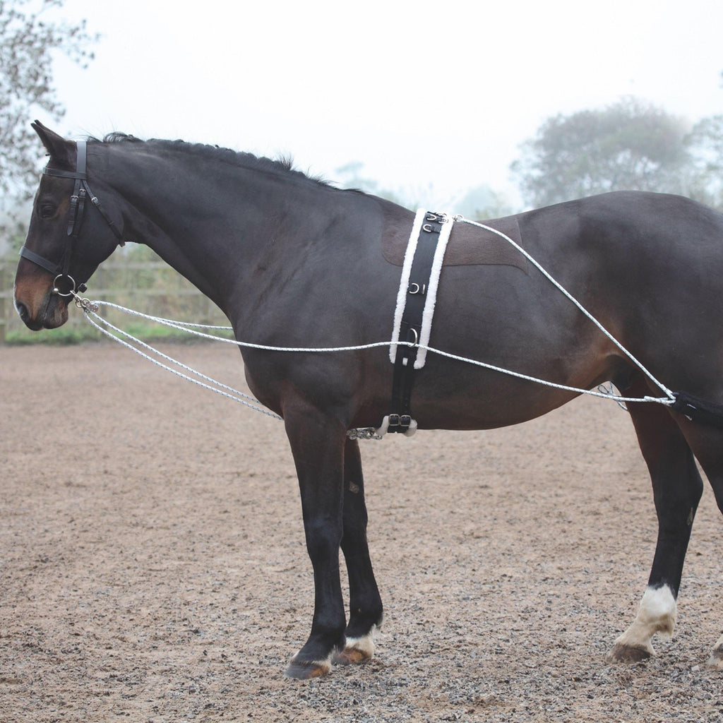 Shires Lunging Training Aid System