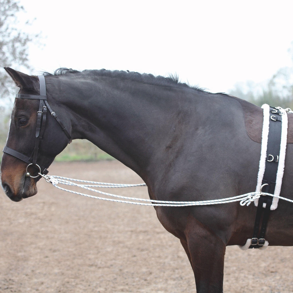 Shires Lunging Training Aid System
