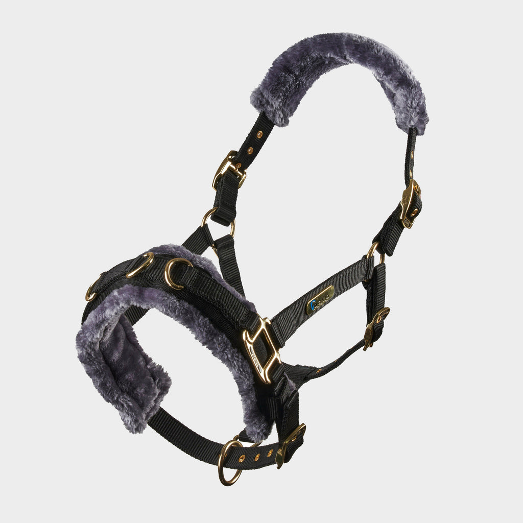 Fleece Lined Lunge Cavesson