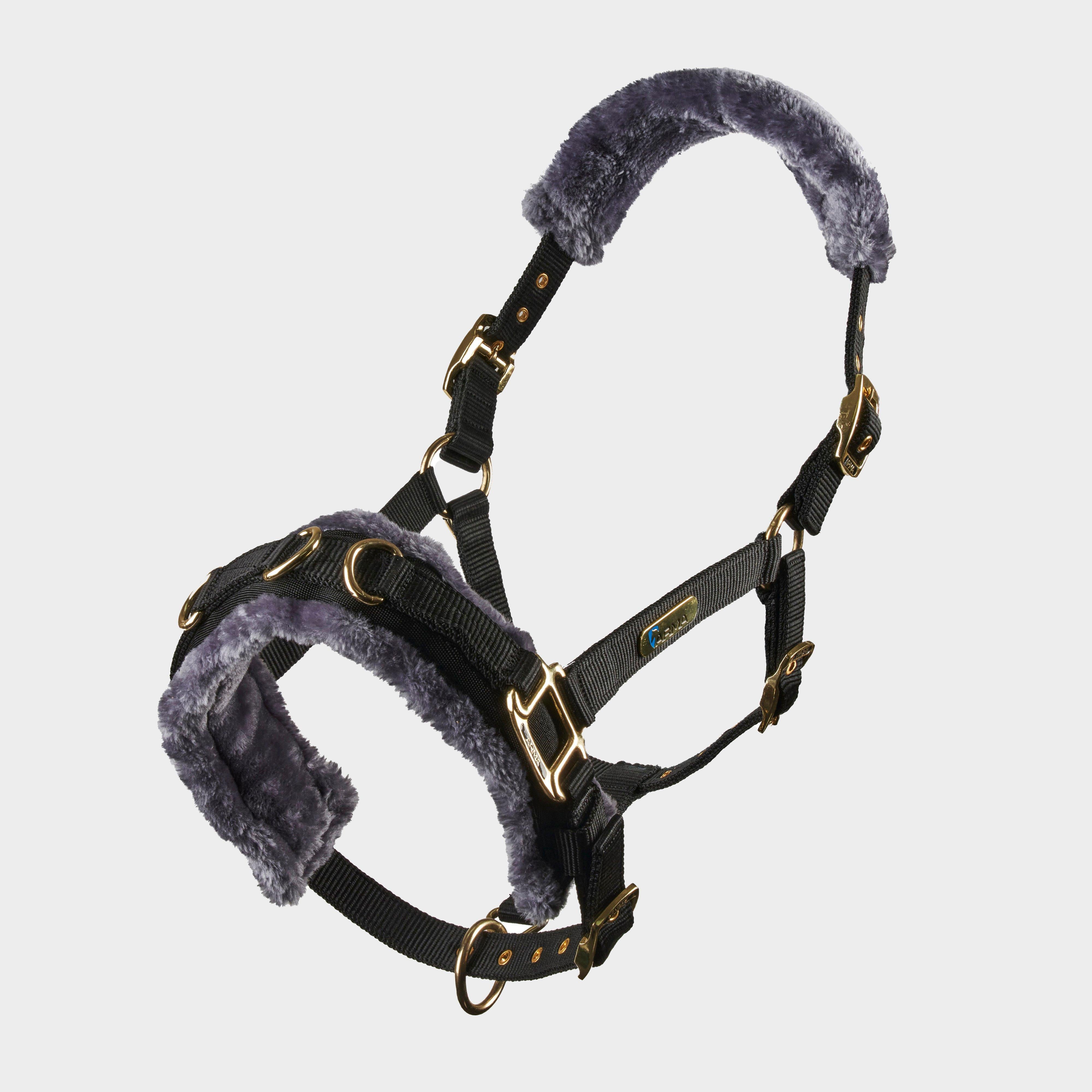 Fleece Lined Lunge Cavesson