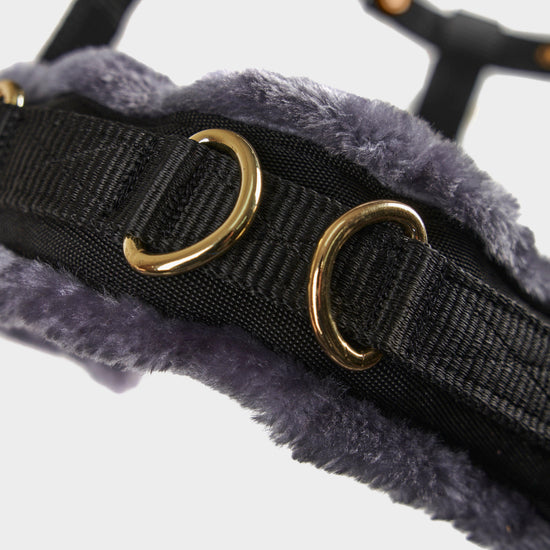 Fleece Lined Lunge Cavesson