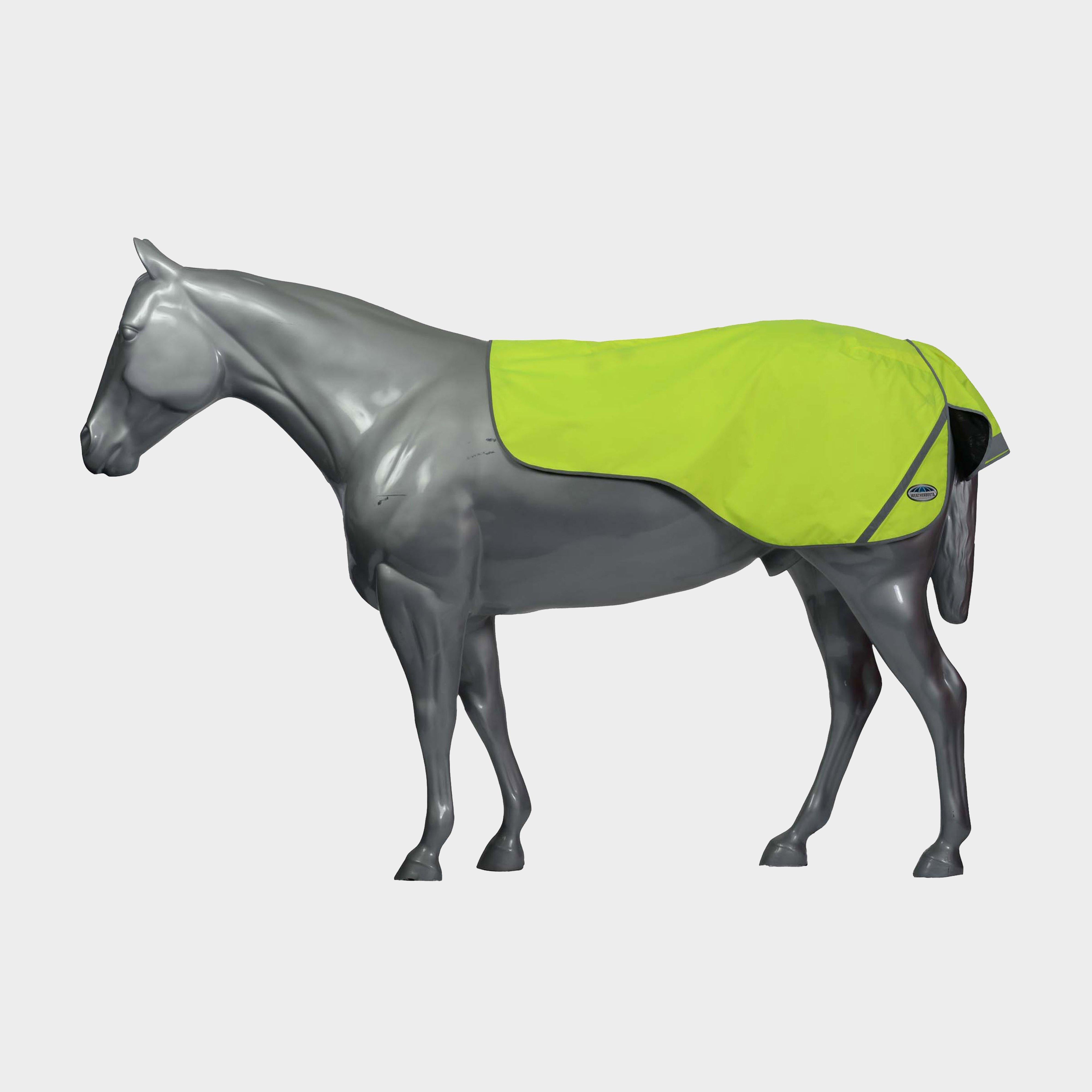 300D Reflective Exercise Sheet