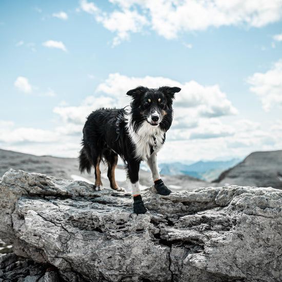 Non-Stop Protector Booties 4 Pack