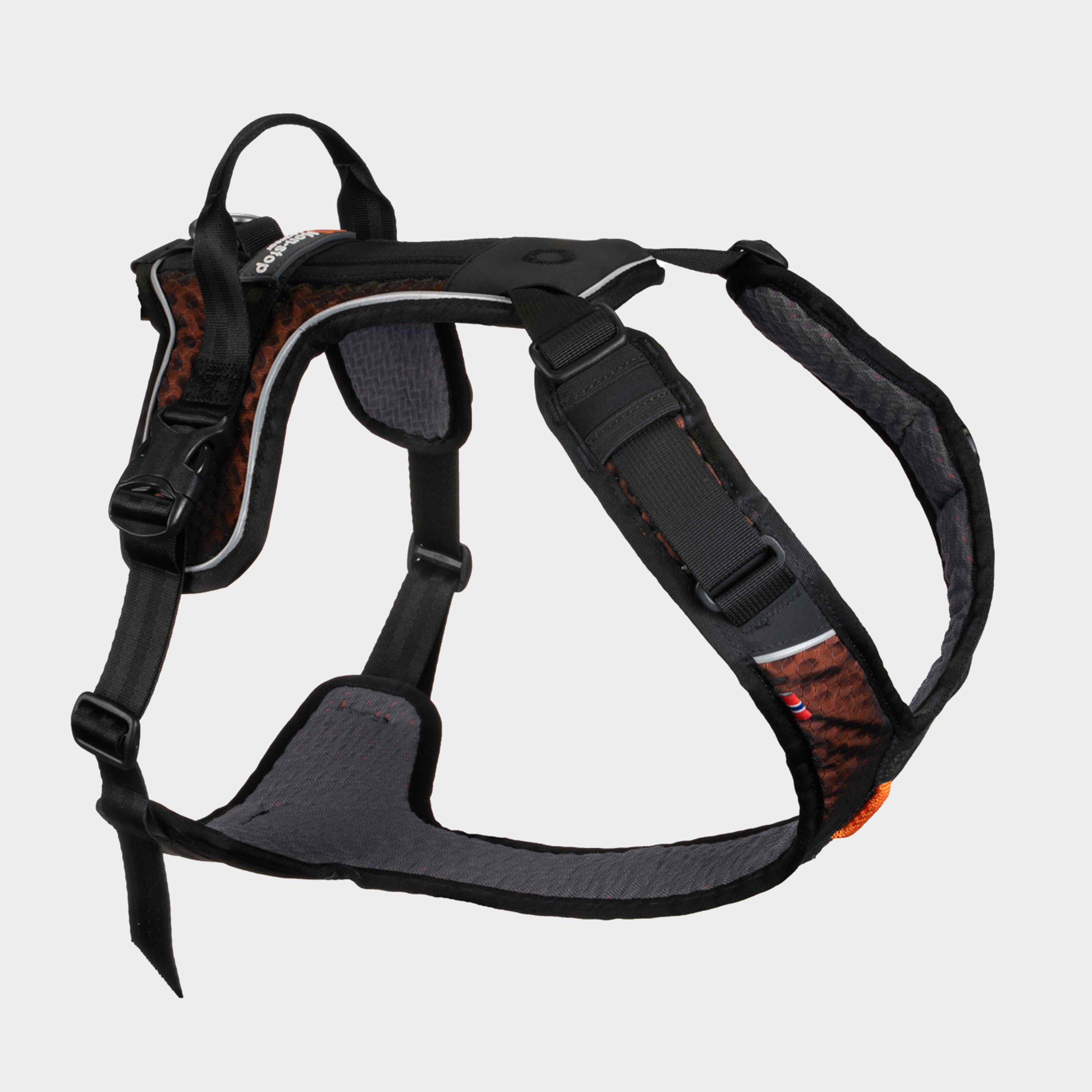 Rock Harness
