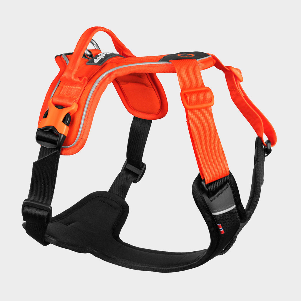 Ramble Harness