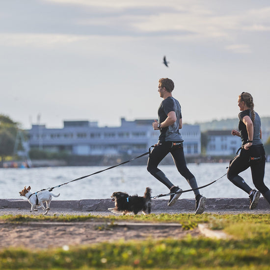 Touring Bungee Leash 1.5m